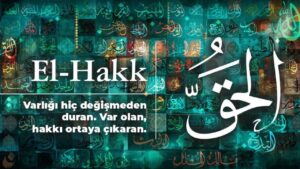 Hakk c.c.