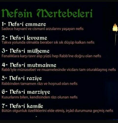 Emmâre’den Sâfiyye’ye Kadar Nefis ile Rûh-u Sultan’ın Asılları, Mertebeleri ve Tecellileri Nelerdir?